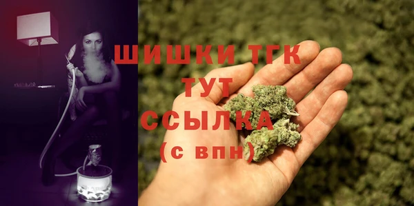 меф Няндома
