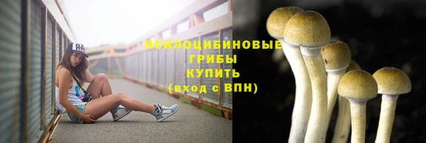 ALPHA-PVP Нязепетровск