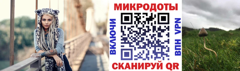 продажа наркотиков  Островной  Галлюциногенные грибы Psilocybe 